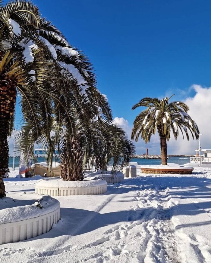 Сочи утонул в снегу! Аномальный снегопад превратил курорт в зимнюю сказку