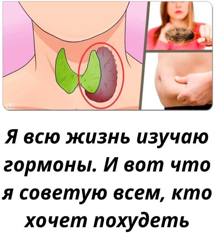 «Почему вы не худеете: 4 гормона, которые тайно мешают вашему весу»