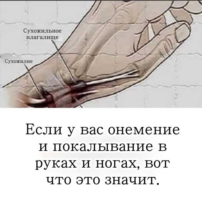 «Ваши руки постоянно немеют? Вот 7 скрытых причин, о которых никто не говорит!»