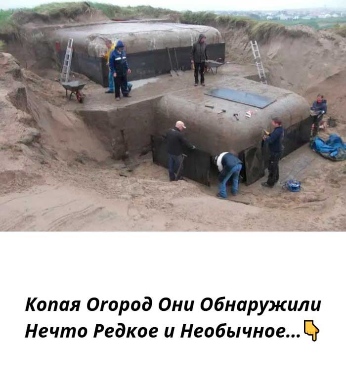 Вы живёте на кладе? Что могут скрывать обычные дачные грядки 😱💰