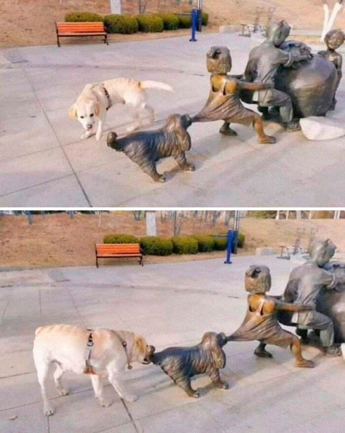 Забавный маленький помощник